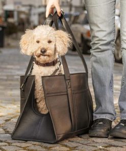 Hoangholliday.shop008dfa815c 1