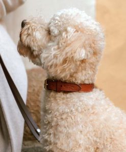 Hoangholliday.shop04ade8b52e 1