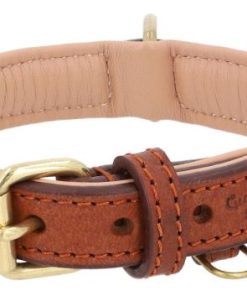 Hoangholliday.shop04ade8b52e 2