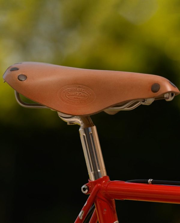 Hoangholliday.shop0eced5ae54 3