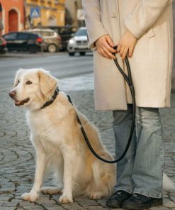 Hoangholliday.shop2a3f291a1c 1