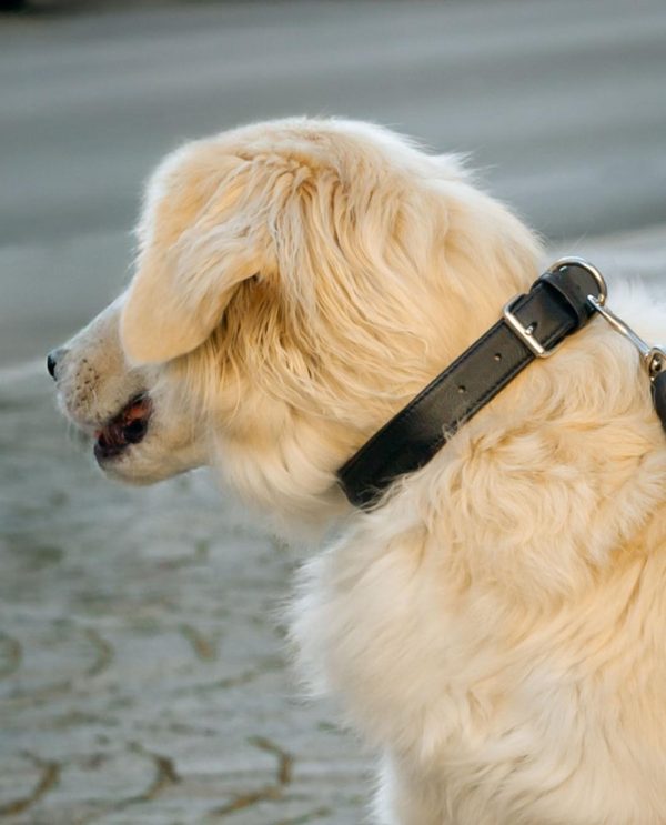 Hoangholliday.shop354a0b46f2 1