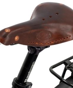 Hoangholliday.shop37c342ba1d 1