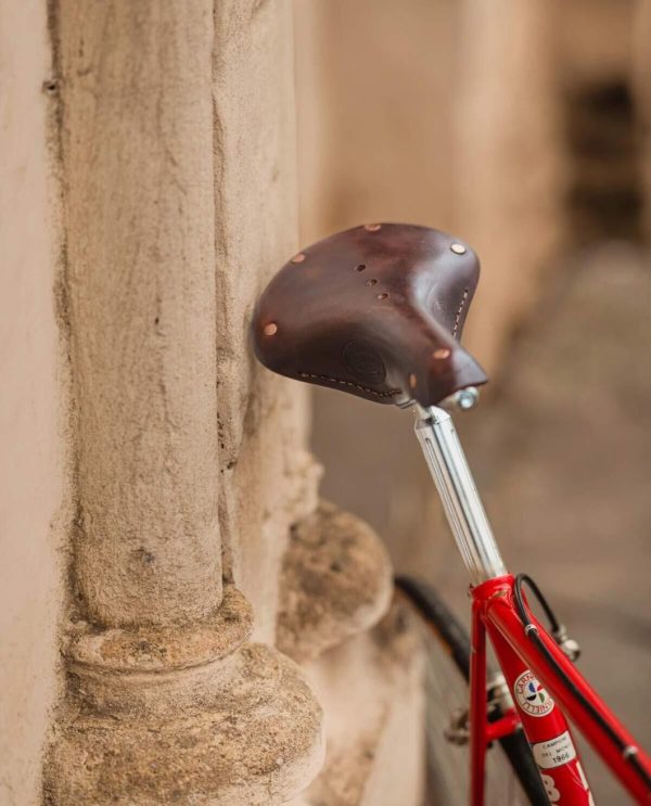 Hoangholliday.shop37c342ba1d 4