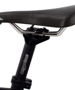 Hoangholliday.shop3b6e0cf303 2