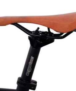 Hoangholliday.shop3c1f25dbf7 2