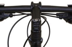 Hoangholliday.shop3e4dc03083 1