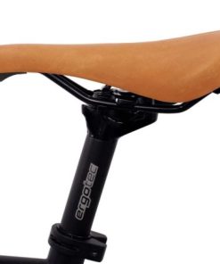 Hoangholliday.shop3f14c5292d 2