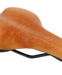 Hoangholliday.shop4584ea7ede 3