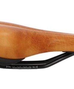 Hoangholliday.shop4584ea7ede 5