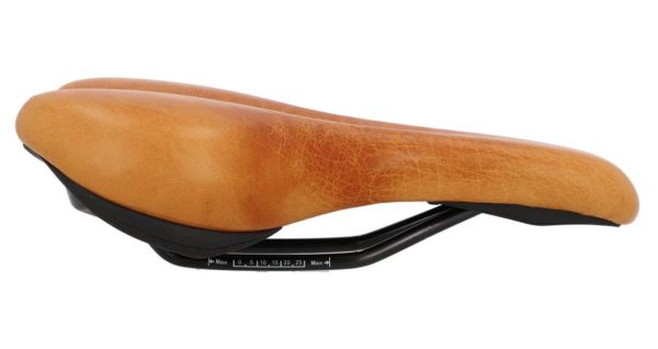 Hoangholliday.shop4584ea7ede 5