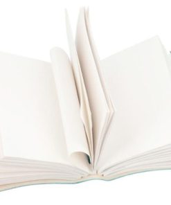 Hoangholliday.shop59accbc66e 3