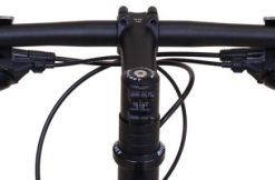 Hoangholliday.shop640d6da03d 1