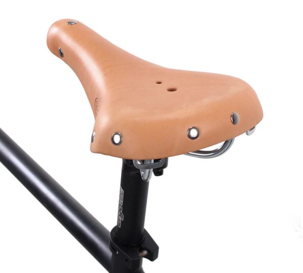 Hoangholliday.shop694cd27ff1 4