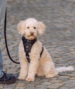 Hoangholliday.shop6d63843fdc 1