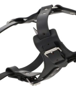 Hoangholliday.shop6d63843fdc 2