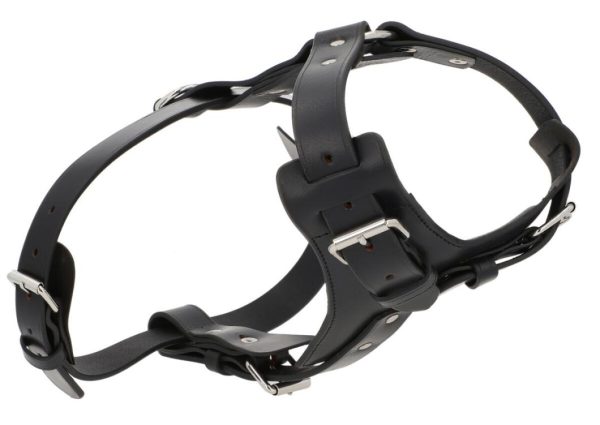 Hoangholliday.shop6d63843fdc 2