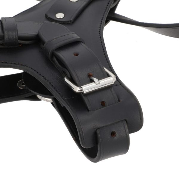 Hoangholliday.shop6d63843fdc 3