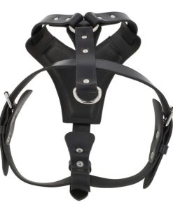 Hoangholliday.shop6d63843fdc 5