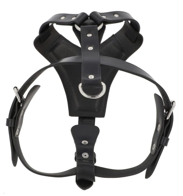 Hoangholliday.shop6d63843fdc 5