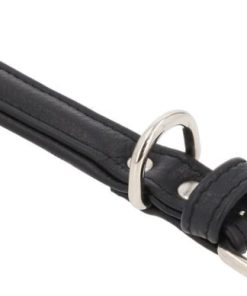 Hoangholliday.shop741c2c4916 2