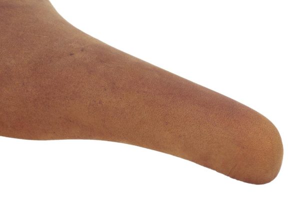 Hoangholliday.shop7b6e8b4bde 5