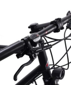 Hoangholliday.shop7bcc63fa1e 1