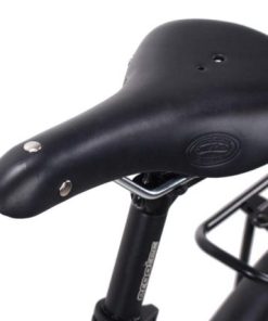 Hoangholliday.shop801c0e1d60 1