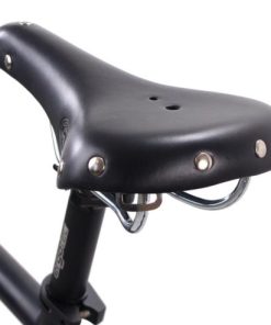 Hoangholliday.shop801c0e1d60 4