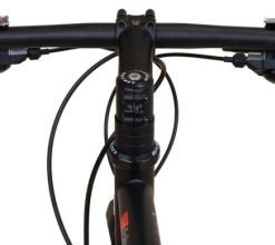 Hoangholliday.shop88b4eea56b 1