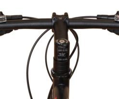 Hoangholliday.shopc72665e86f 1