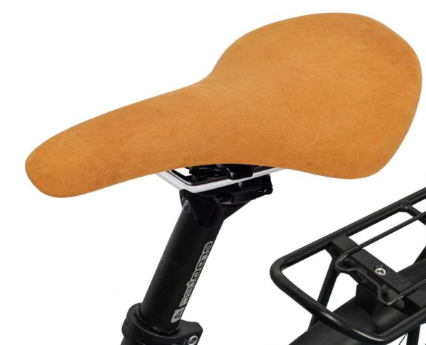 Hoangholliday.shopd21ea5e5f9 1