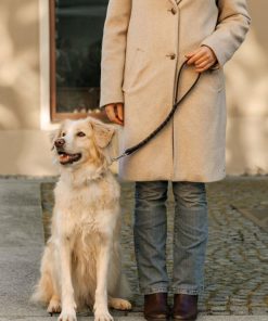 Hoangholliday.shopec8b172908 1