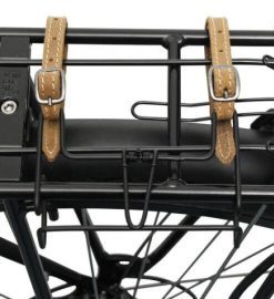 Hoangholliday.shopf84226323b 1